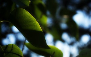 用户增长工具横向对比测试